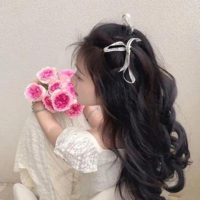 傲骨贤妻第四季