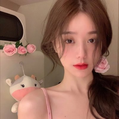 机动战舰大和抚子 OVA