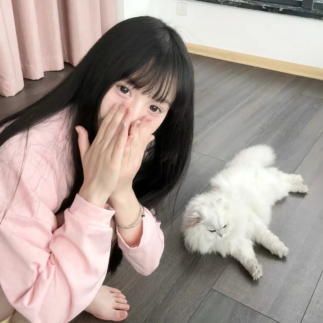 圣白百合骑士团